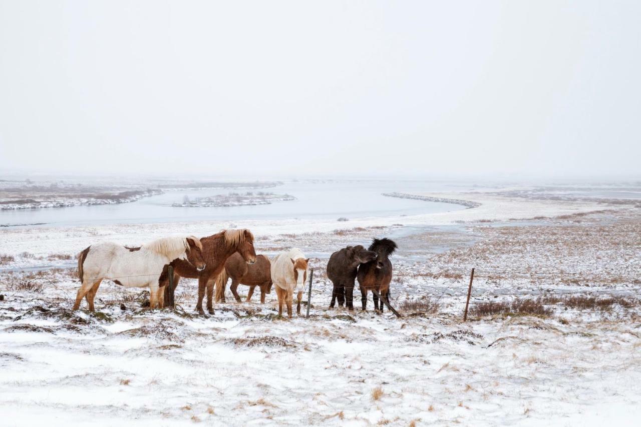 Experience Beautiful Iceland Ólafsvík Exteriör bild