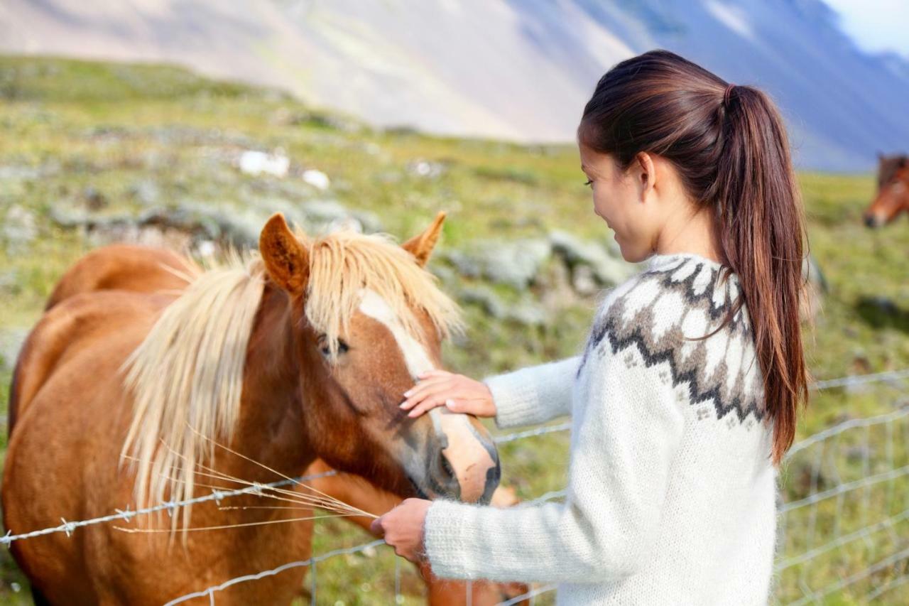 Experience Beautiful Iceland Ólafsvík Exteriör bild